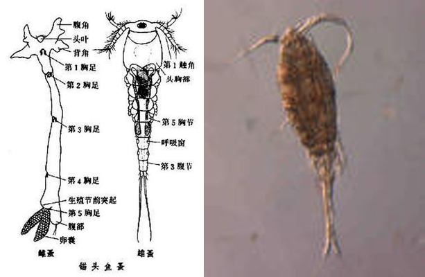 未標(biāo)題-1.jpg