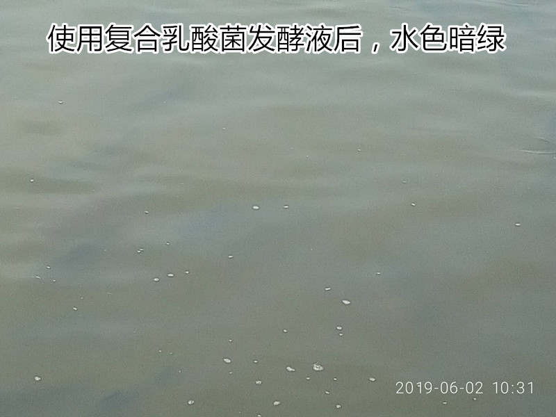 微信圖片_20190610123534_副本.jpg